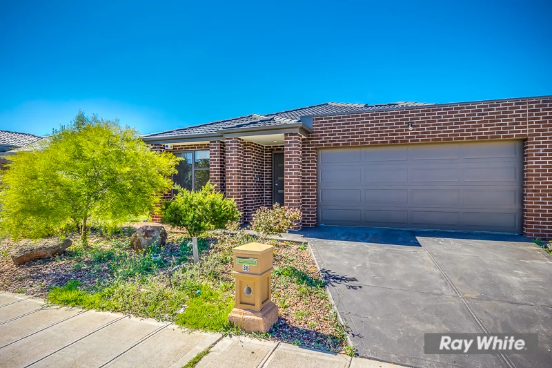 36 Melville Street, Tarneit, VIC 3029