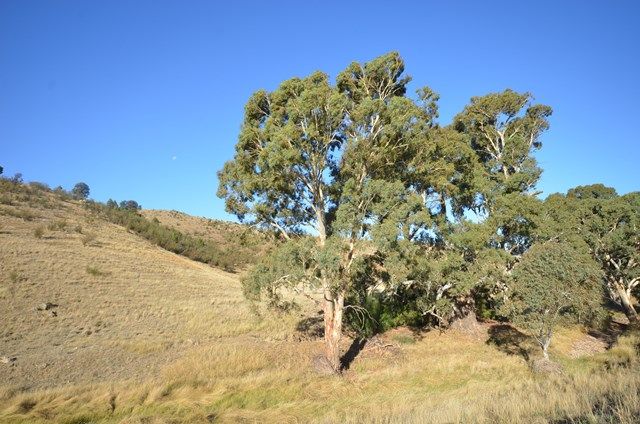 HVandChimney Brady Creek and Kotz Road, Robertstown, SA 5381
