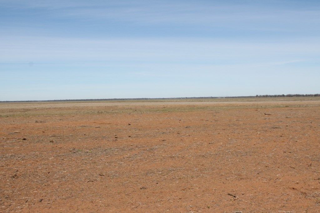 "TARA" 17930 JAKELWAR GOODOOGA, Dirranbandi, QLD 4486 Sold Rural