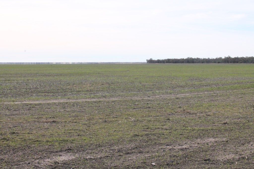 "TARA" 17930 JAKELWAR GOODOOGA, Dirranbandi, QLD 4486 Sold Rural