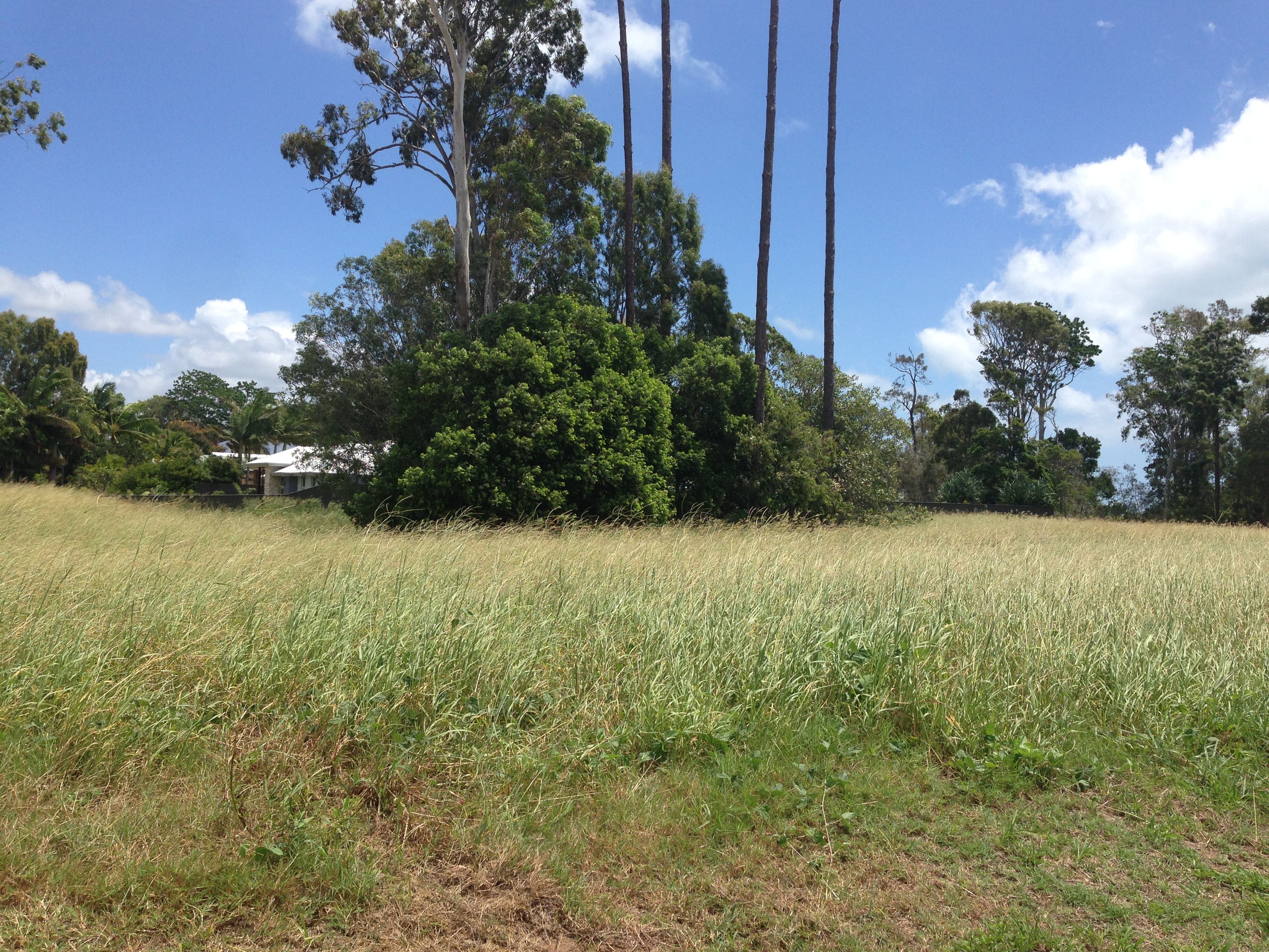 9 Nautilus Court, Dundowran Beach, QLD 4655