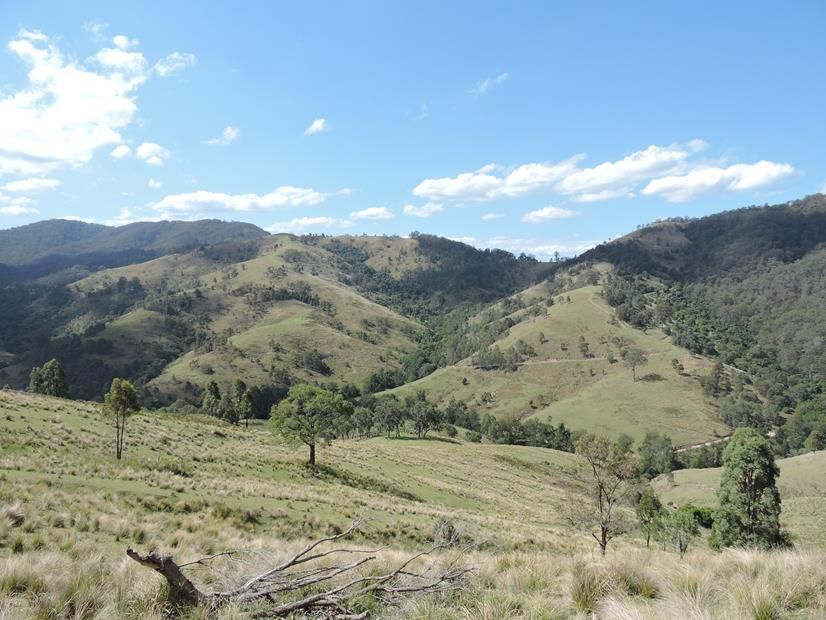 Singleton, NSW 2330