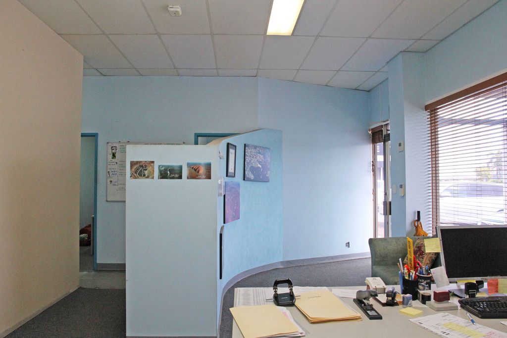 5/41 Sadgroves Crescent, Winnellie, NT 0820