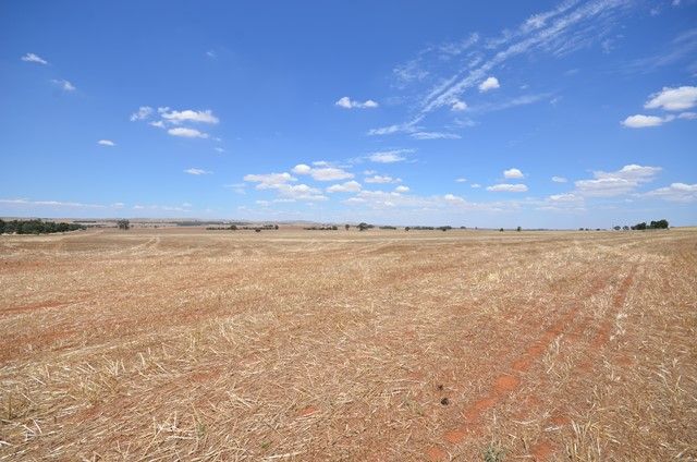 Farrell Flat Road, Farrell Flat, SA 5416