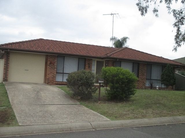 5 Packenham Place, MOUNT ANNAN, NSW 2567