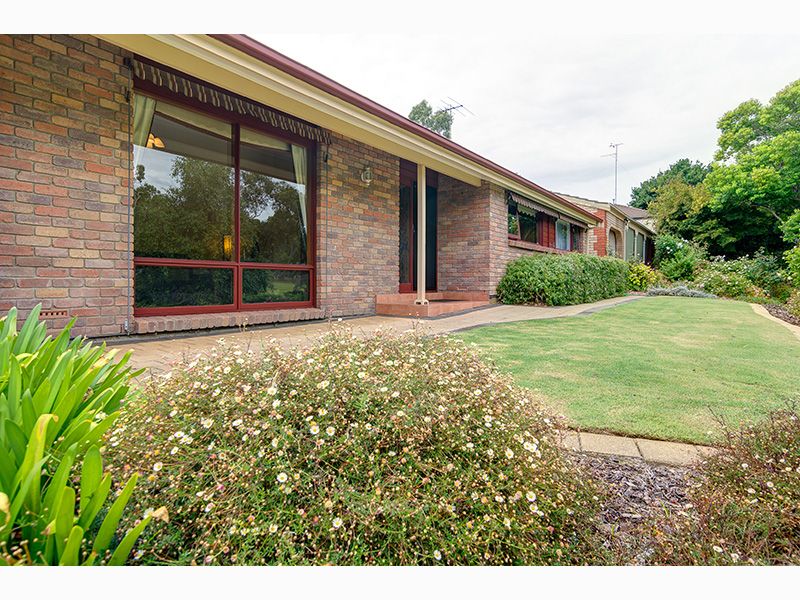 50 Horseshoe Drive, Aberfoyle Park, SA 5159