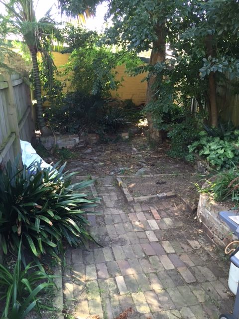 25 Margaret Street, Newtown, NSW 2042
