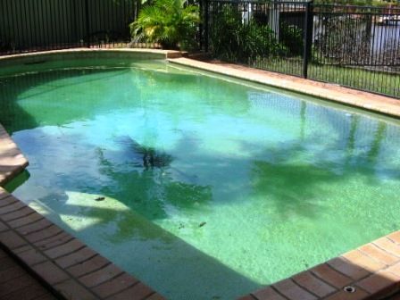 11 Bass Place, Paradise Point, QLD 4216