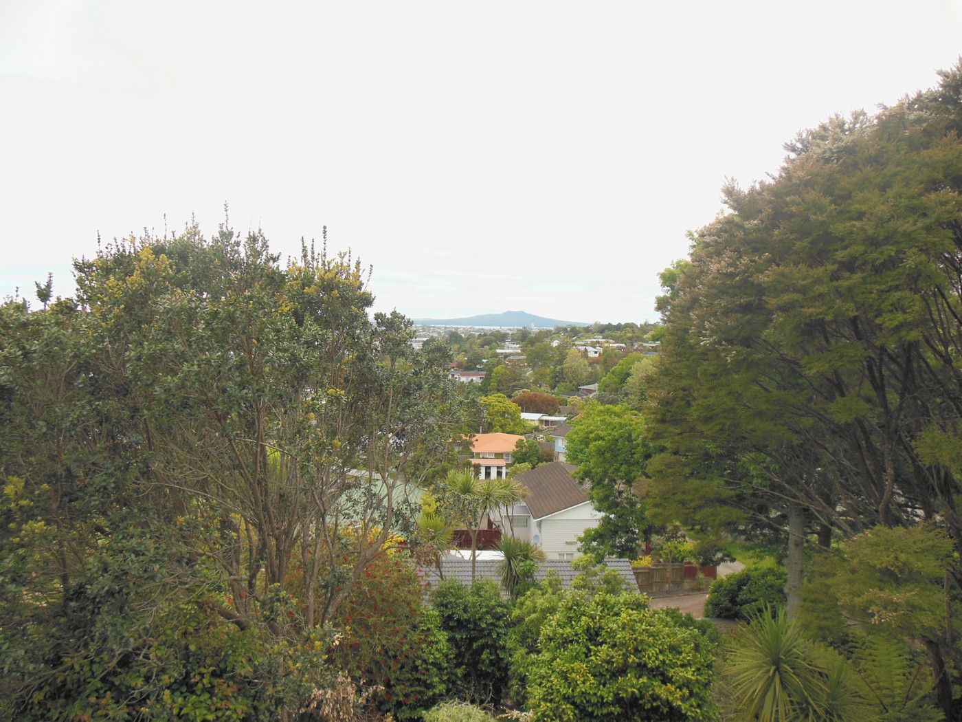 Totaravale, North Shore City