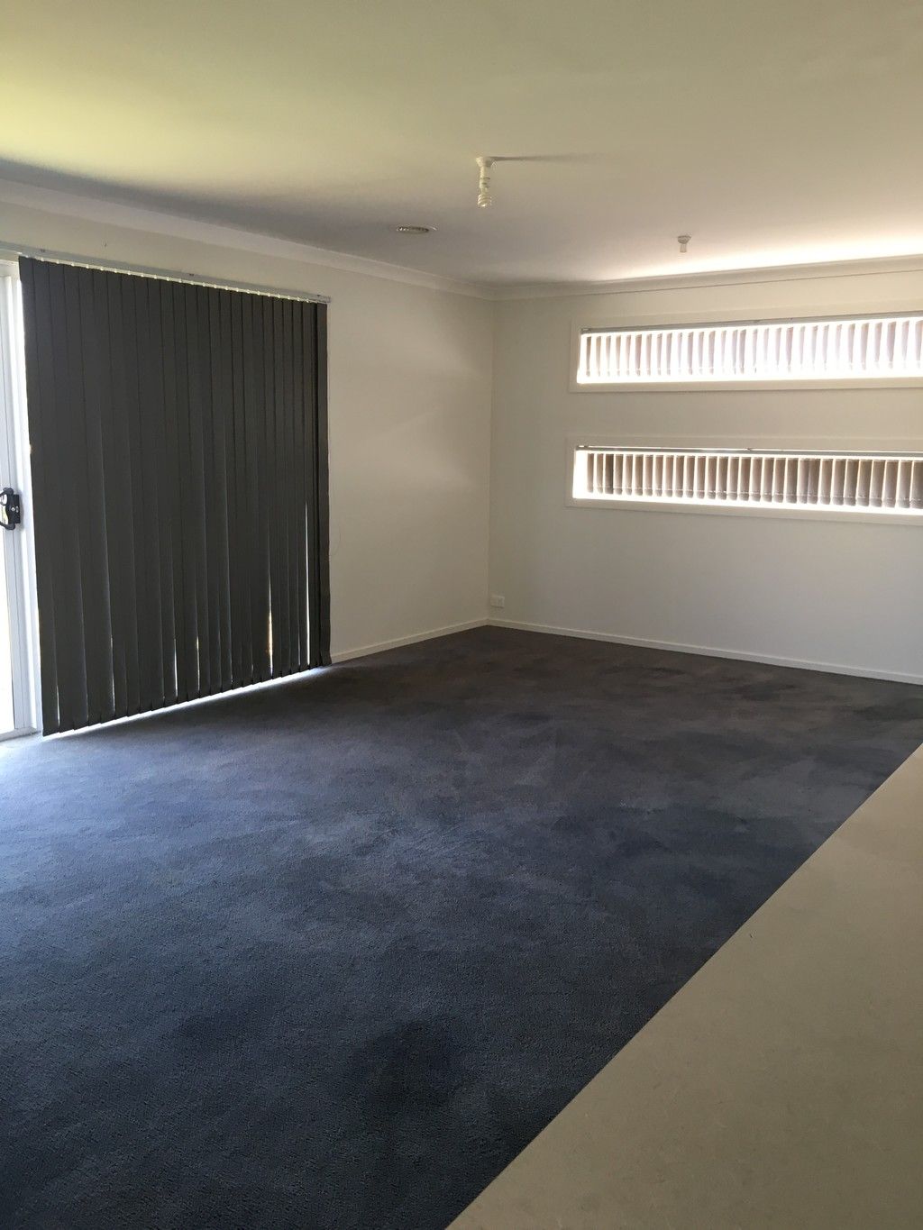 39 Larson Avenue, Tarneit, VIC 3029
