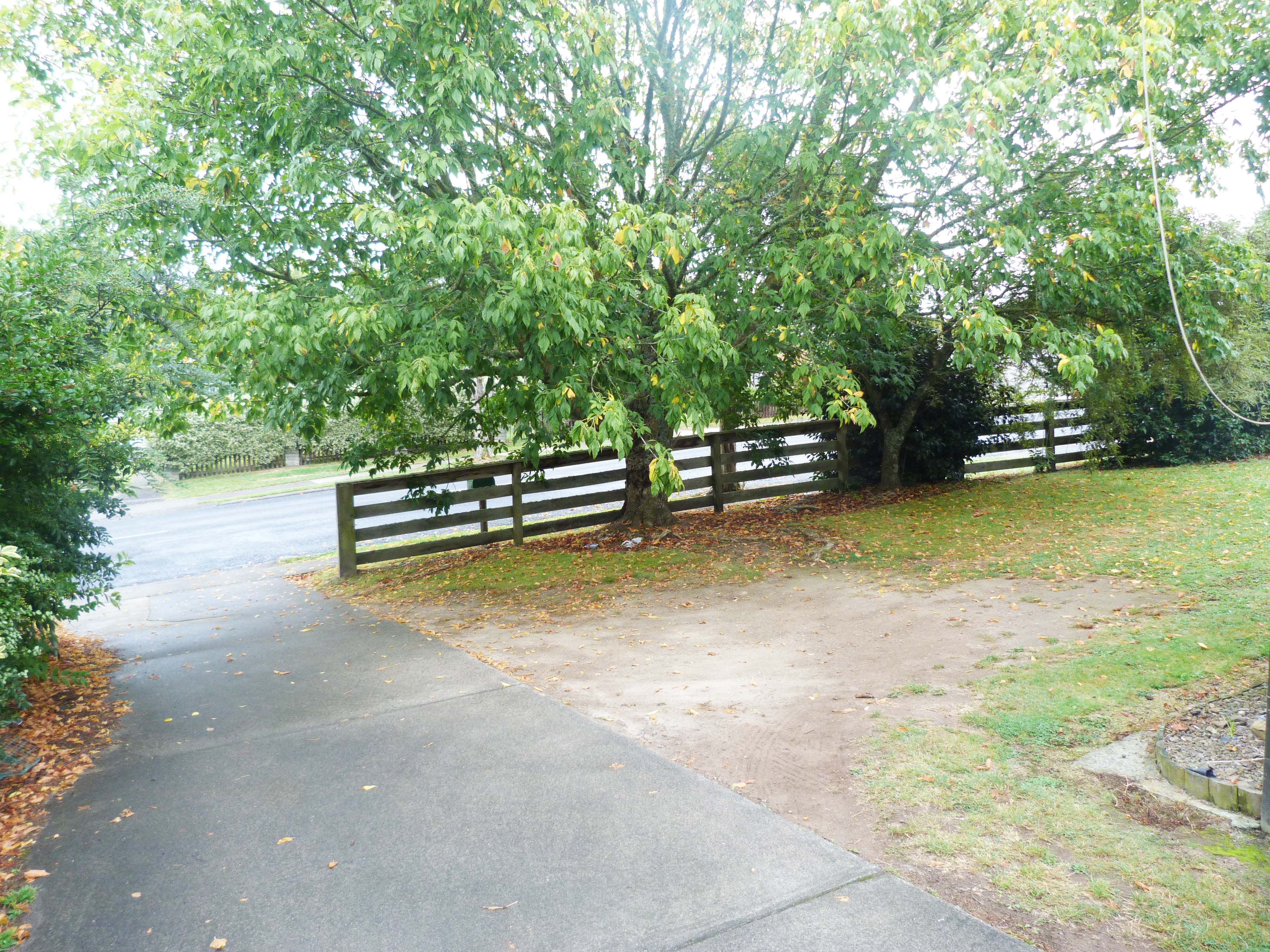 15 Splitt Avenue, Glenview, Hamilton City