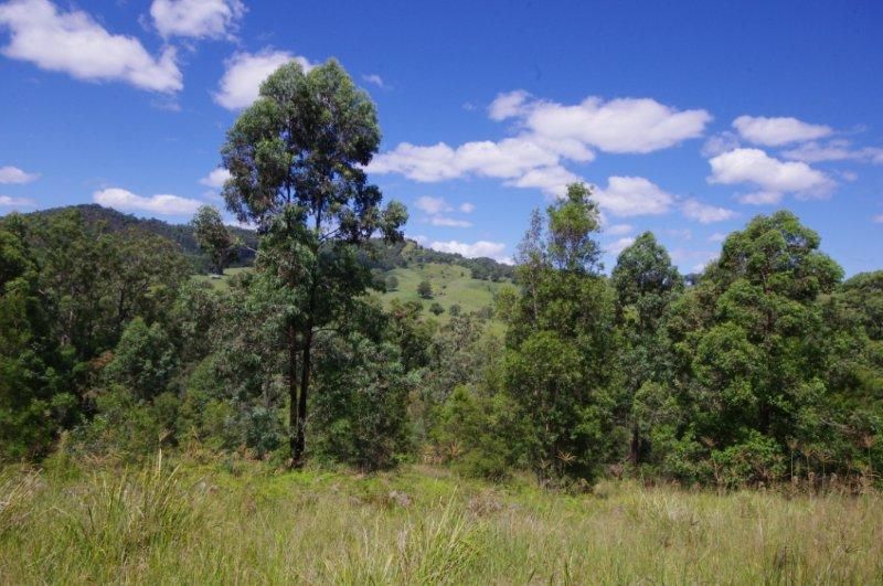989 Mooral Creek Road, Strathcedar, NSW 2429