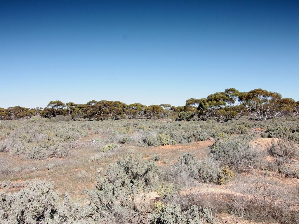 Section 63 Farley Road, Kingston On Murray, SA 5331