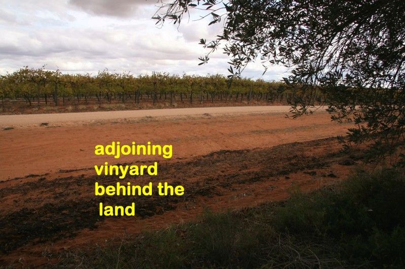 Lot 37 Playford Road, Waikerie, SA 5330