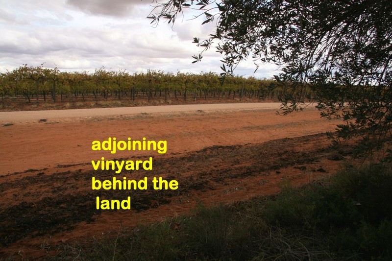 Lot 37 Playford Road, Waikerie, SA 5330