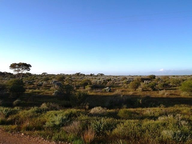Sec 344 Rail Road, Morgan, SA 5320