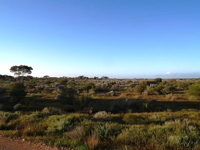Sec 344 Rail Road, Morgan, SA 5320