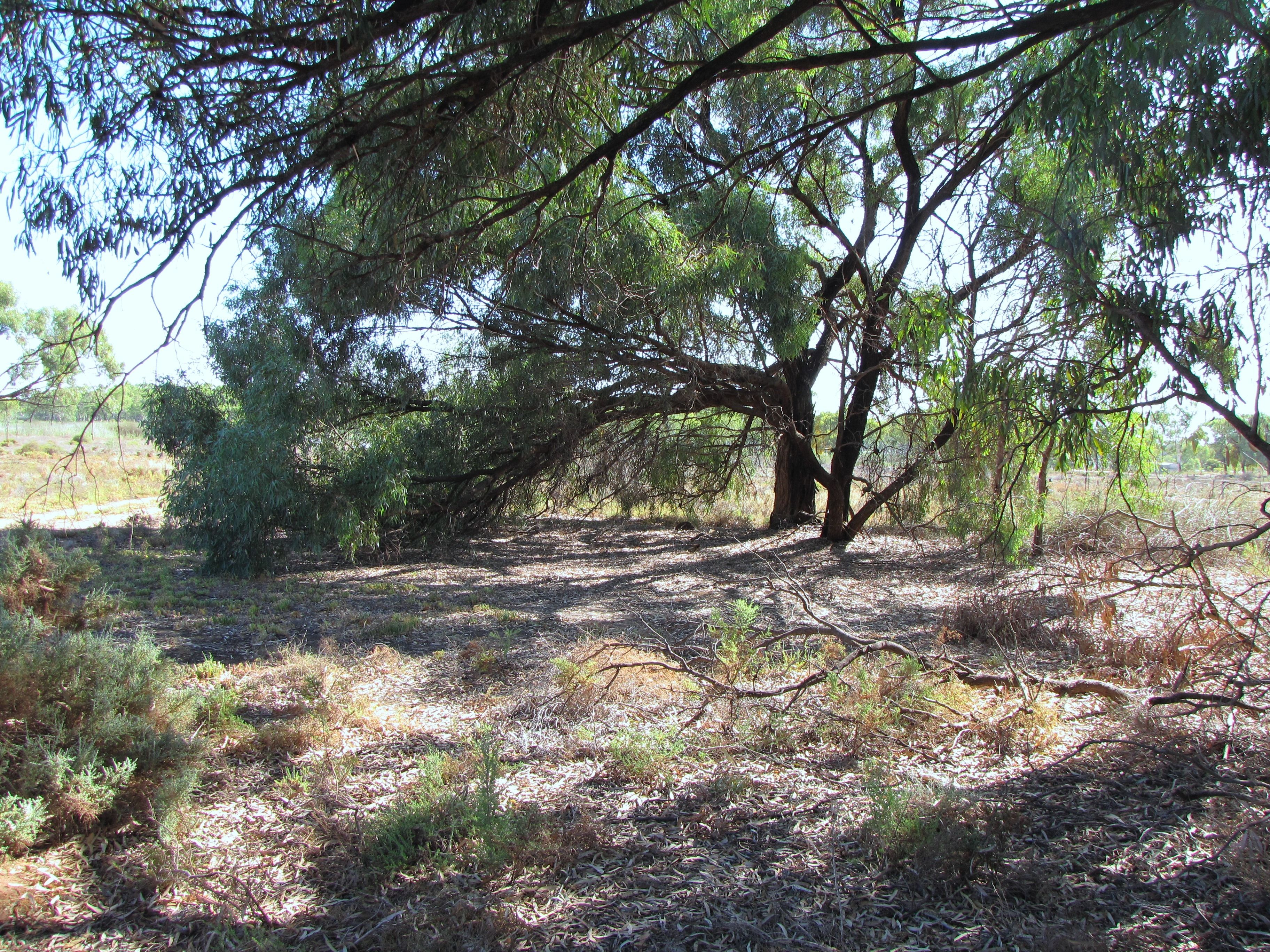 Section 424 Holmes Road, Kingston On Murray, SA 5331