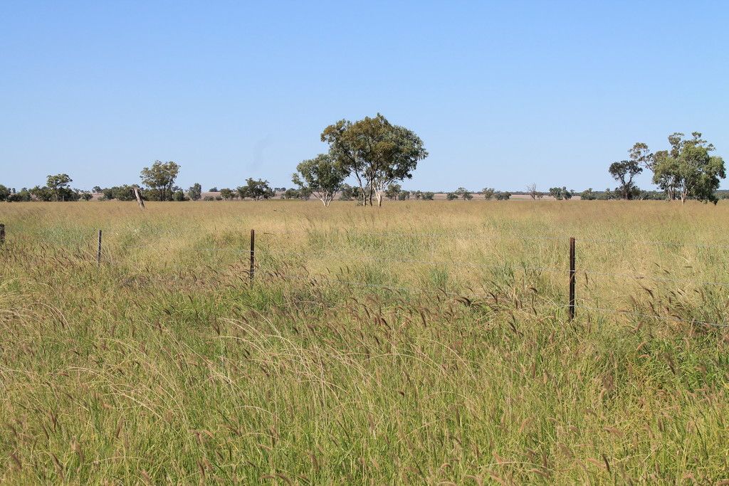 Roma, QLD 4455 - Sold Rural Mixed Farming Property - Ray 