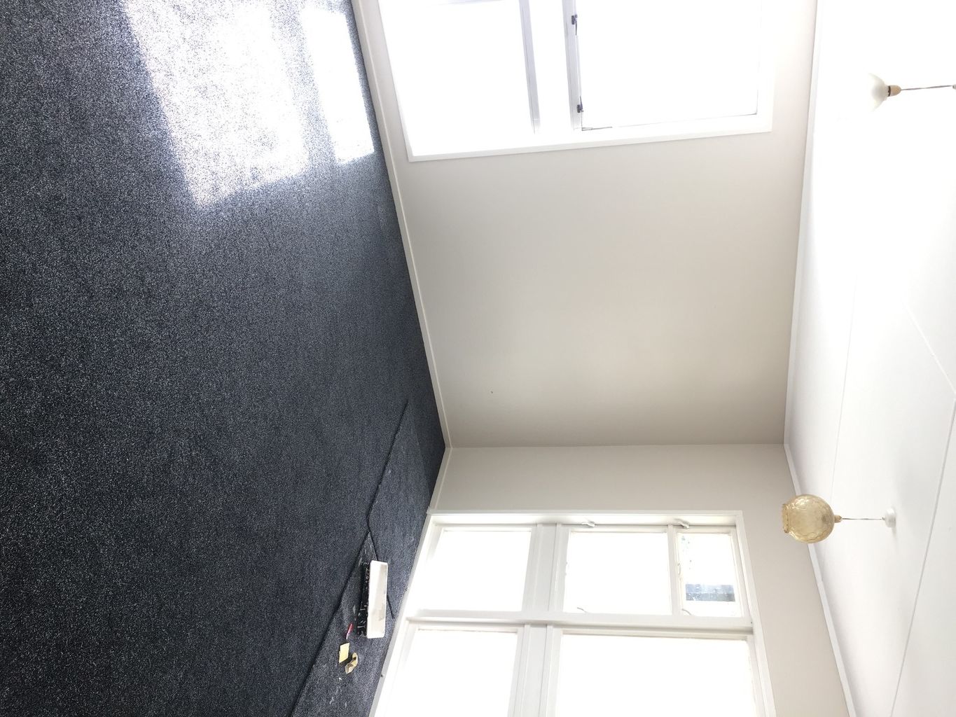 Conifer Grove, Manukau City