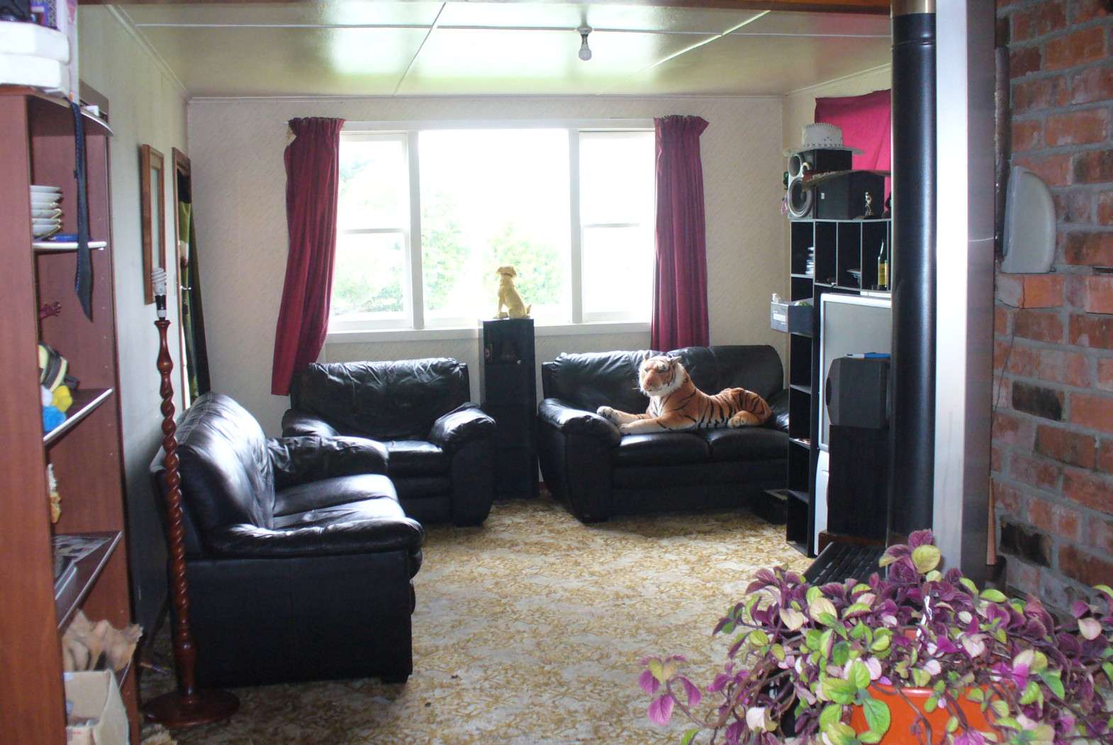 25 Main Road, Tuatapere, Southland District Real Estate Ray White