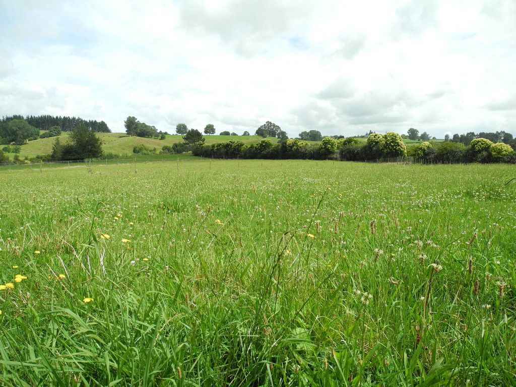 810 Pirongia Road, Pirongia, Waipa District