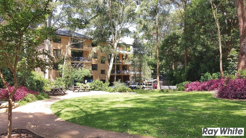2 Peckham Avenue, Chatswood NSW 2067