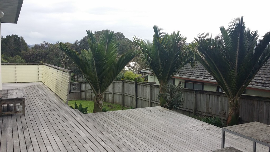 8 Twilight Bay, Omaha, Rodney