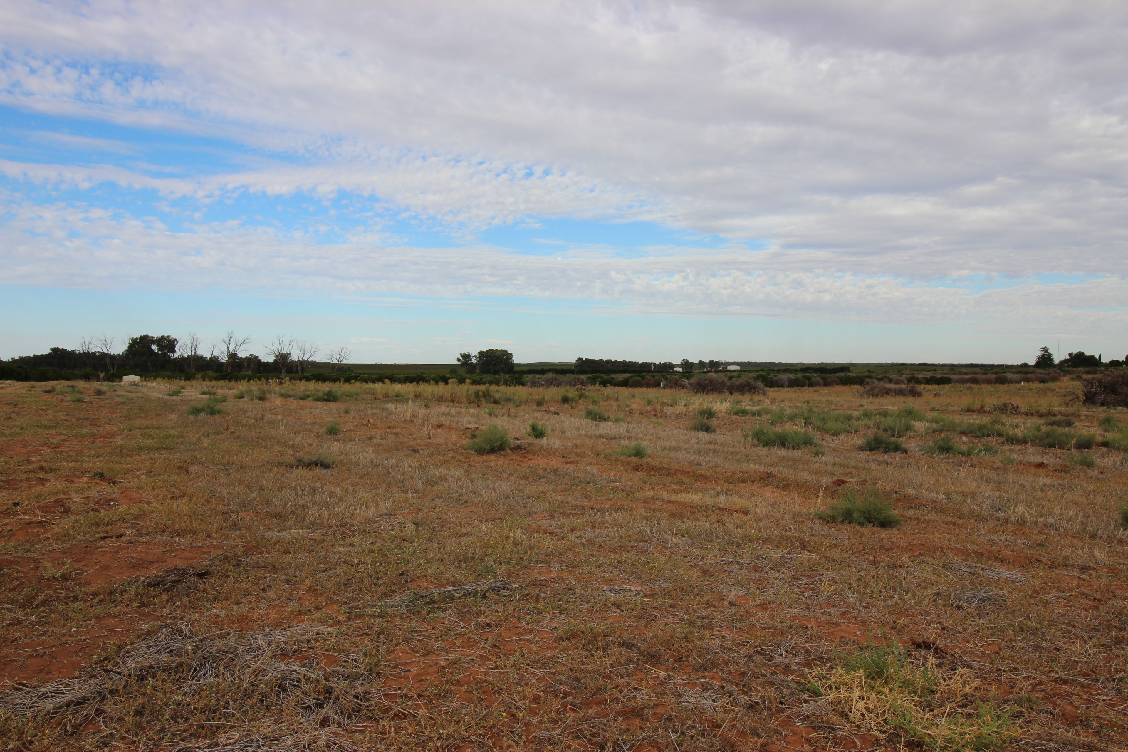 125 Barclay Road, Waikerie, SA 5330