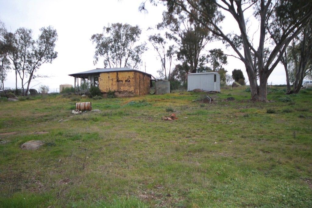75 Victoria Gully Road, YOUNG, NSW 2594