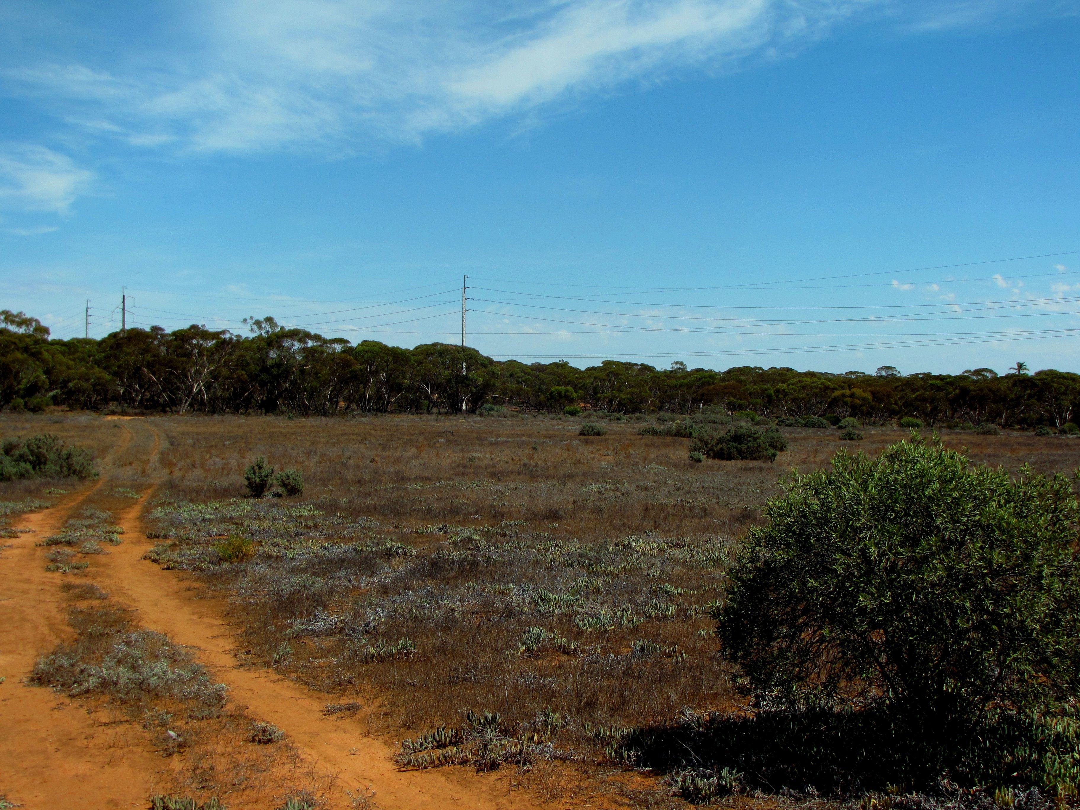 Section 559 Sturt Highway, Monash, SA 5342