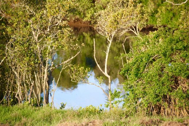 89 Newby Road, Pampoolah, NSW 2430