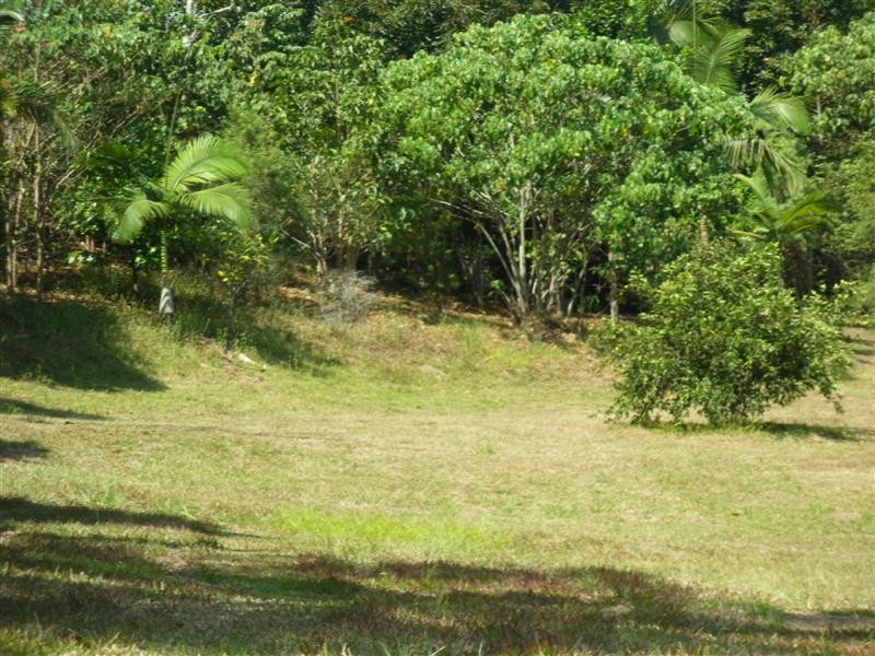 Bingil Bay, QLD 4852