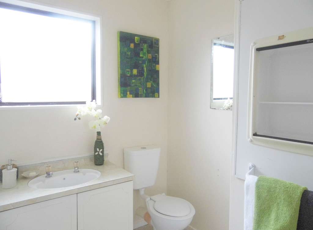 4a Leslie Place photo 8