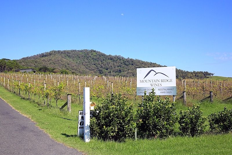11 Coolangatta Road, Coolangatta, NSW 2535 - Sold Rural Property - Ray