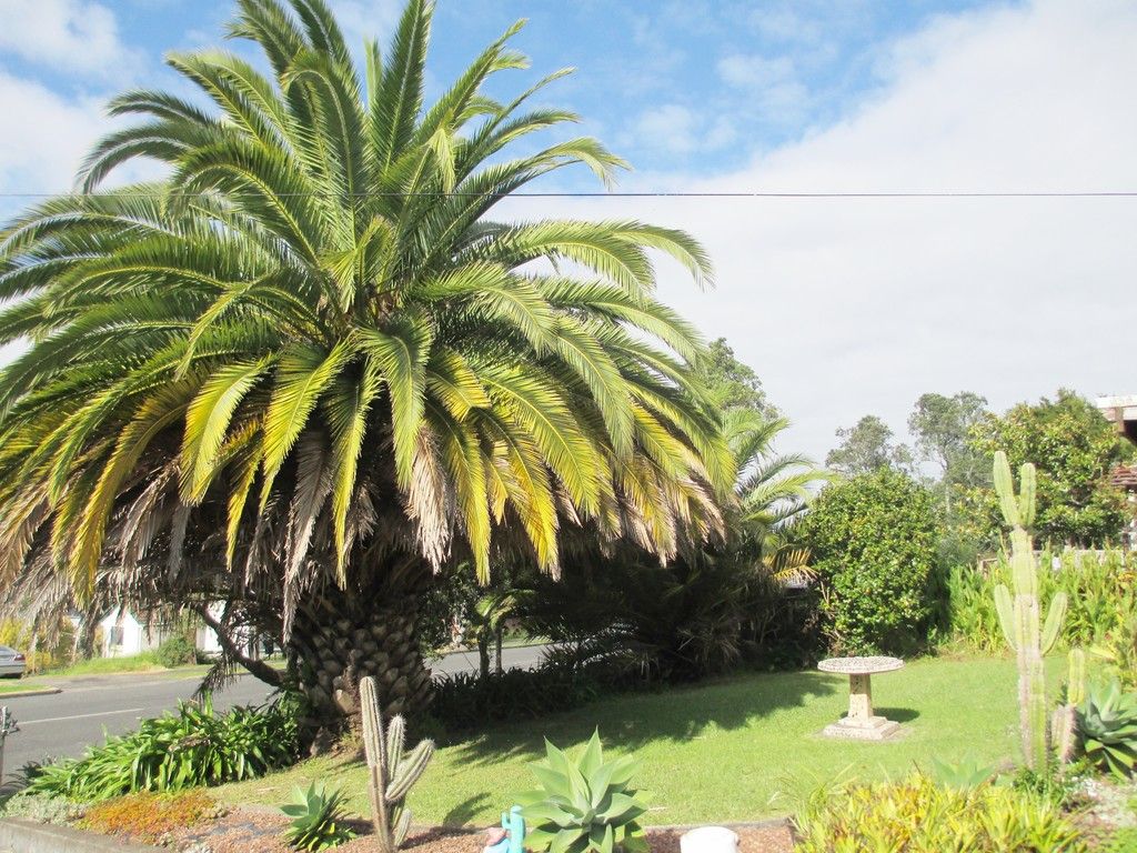 43 Hillcrest Road, Papatoetoe, Manukau City