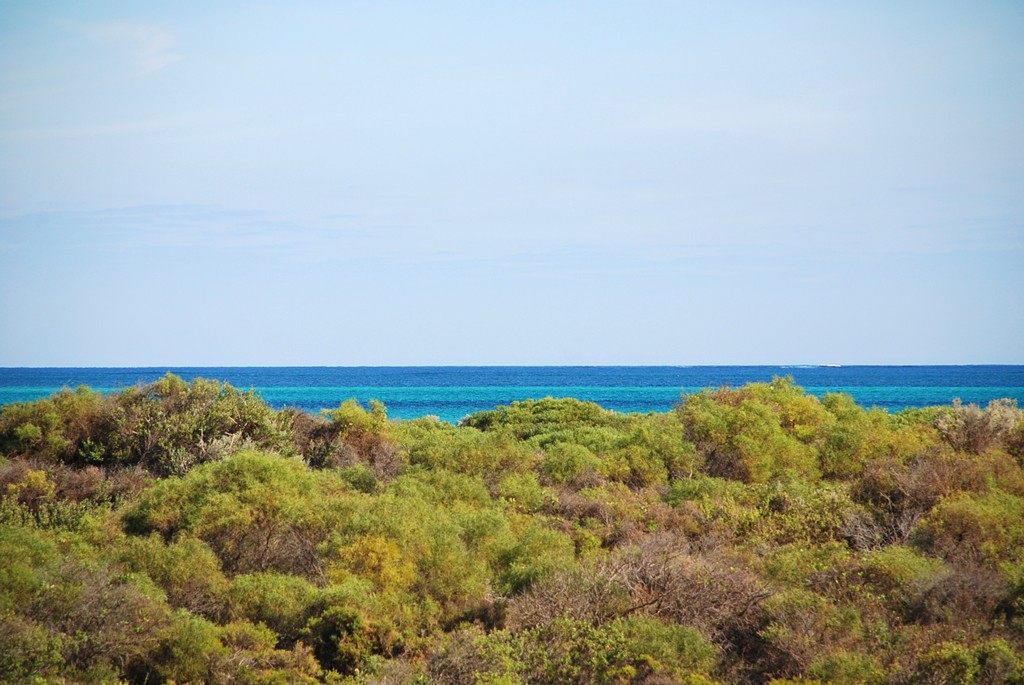 Lot 331, 15 Eucalypt Way, Jurien Bay, WA 6516