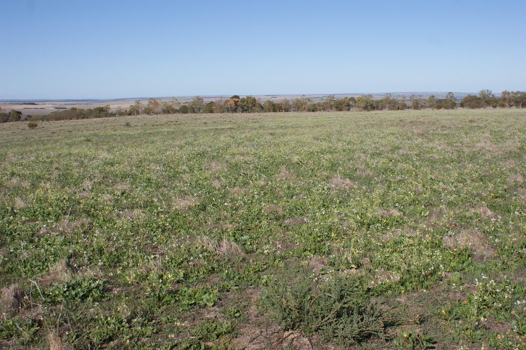 LOT 66 Strawberry North East Road, Mingenew, WA 6522