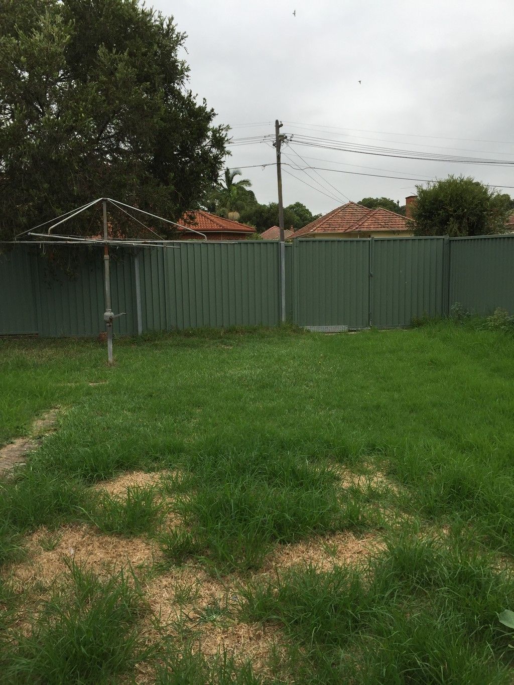 11 Bell Street, Riverwood, NSW 2210