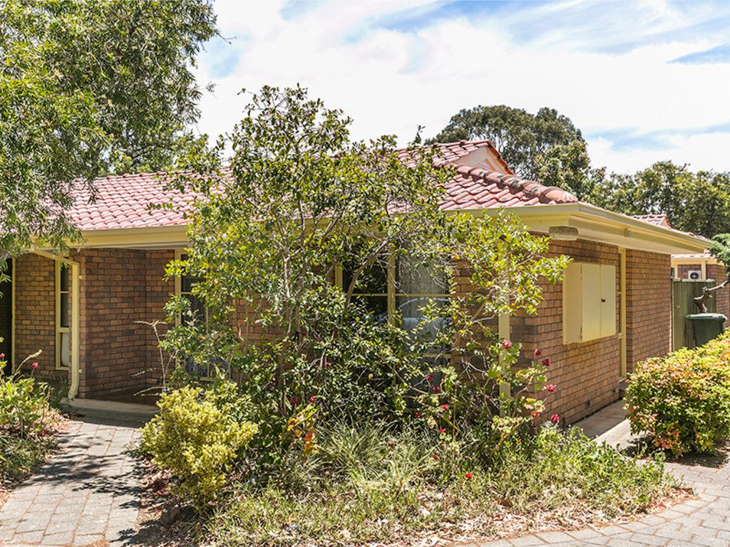 5/38 Murray Terrace, Oaklands Park, SA 5046