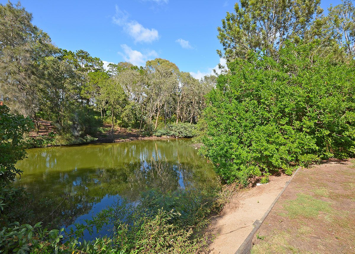 7 Anembo Drive, Torquay, QLD 4655