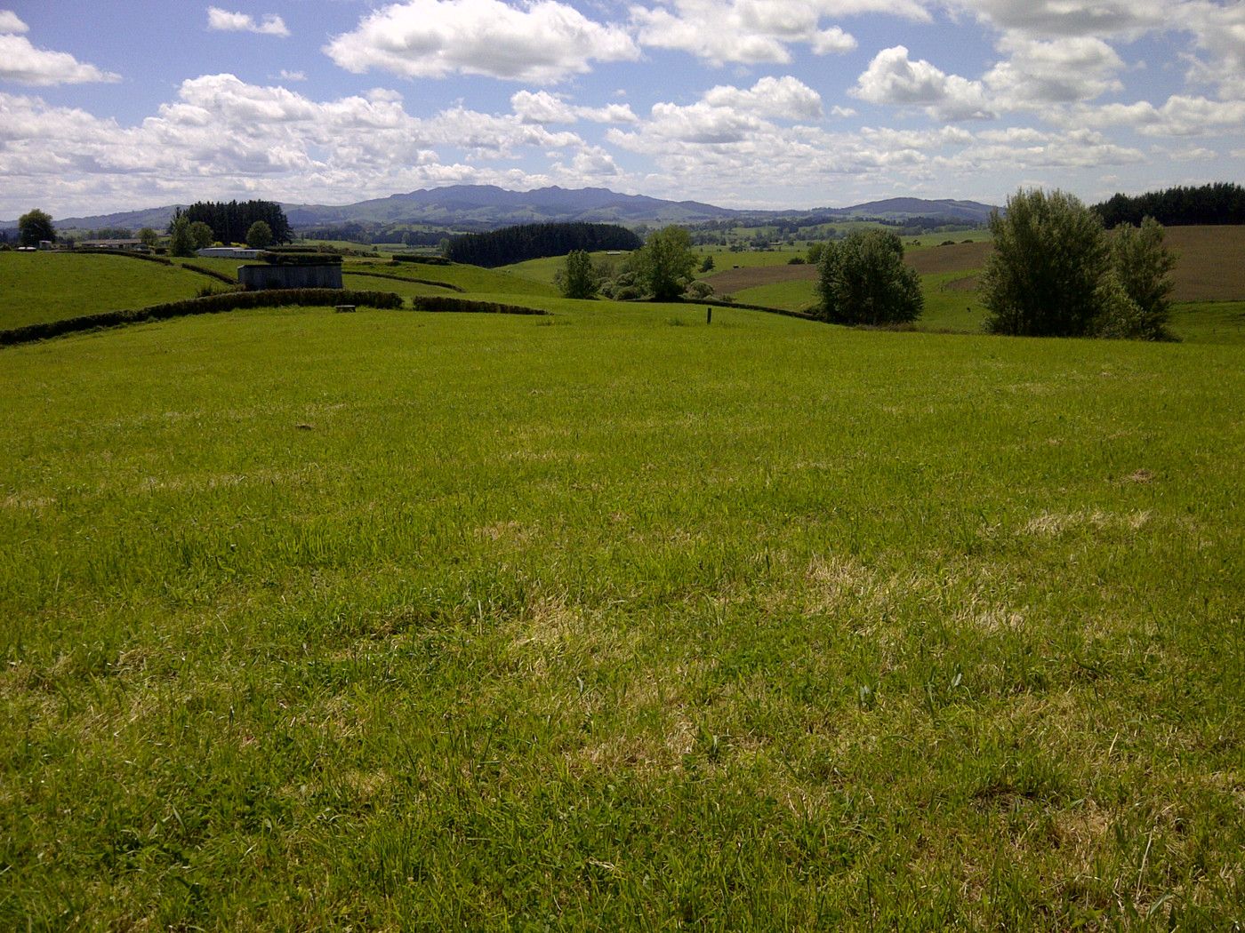0 Ngahape Road, Te Awamutu, Waipa District