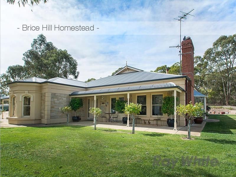 56 - 66 Warenda Road, Clare, SA 5453