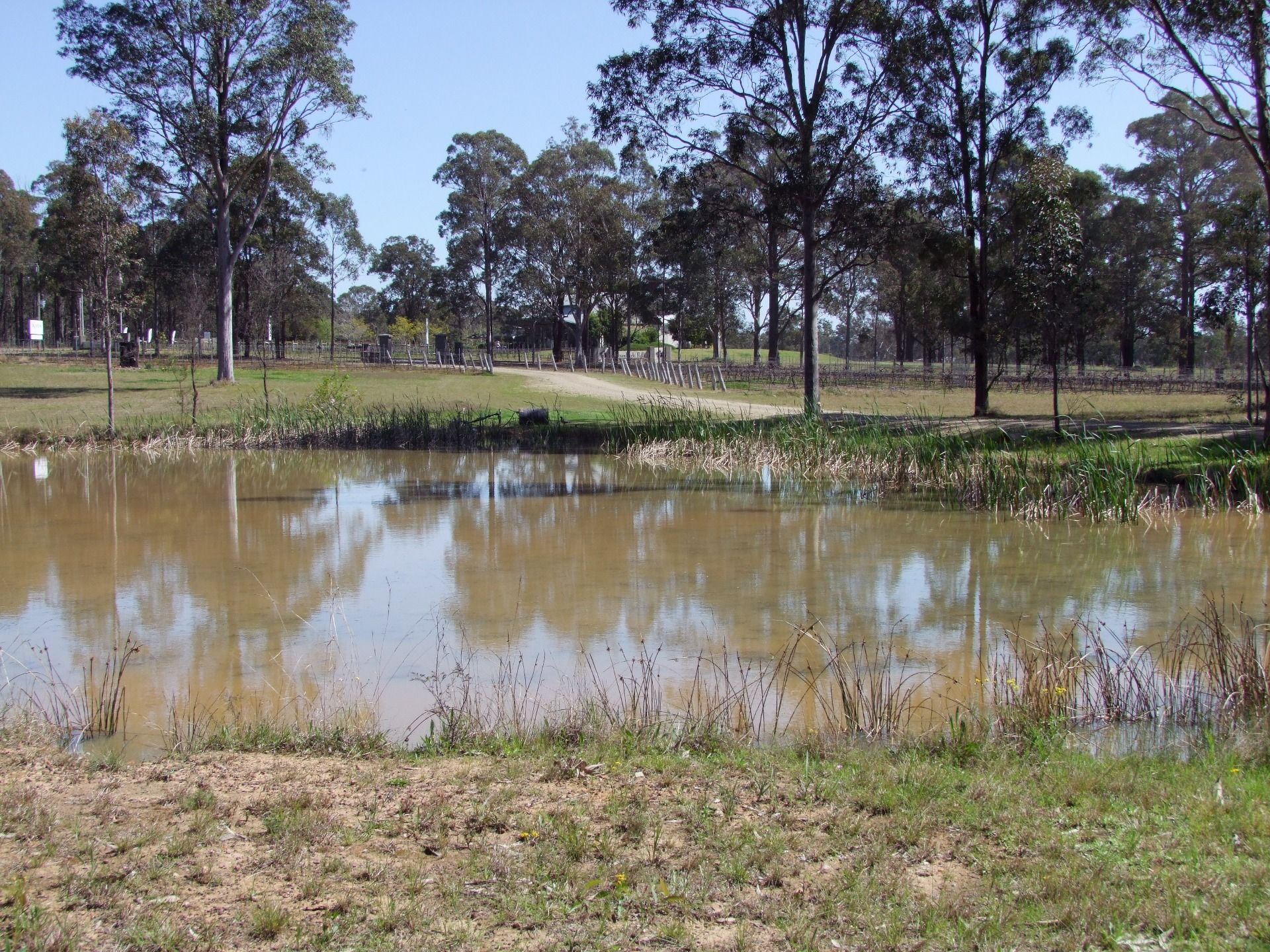  687 Hermitage Road, Pokolbin NSW 2320