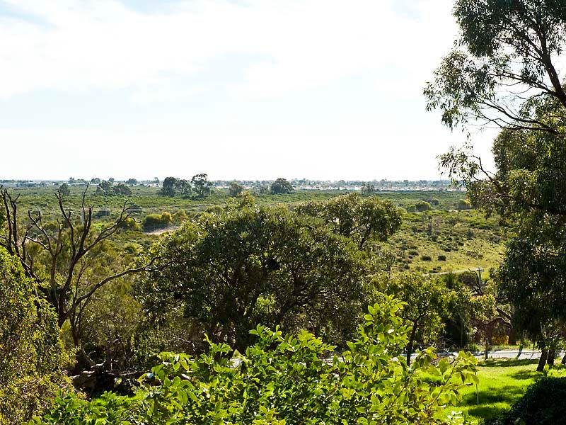 1791 Mandurah Road, Baldivis, WA Home For Sale • Ray White