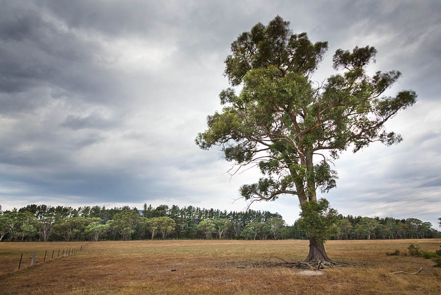Lot 3 Bruwalin Place, Hartley, NSW 2790