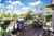 247A Kohimarama Road photo 6