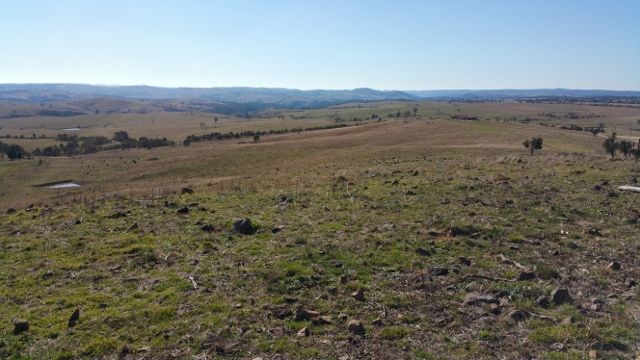 Lot 101 Longview Road, Big Hill, NSW 2579