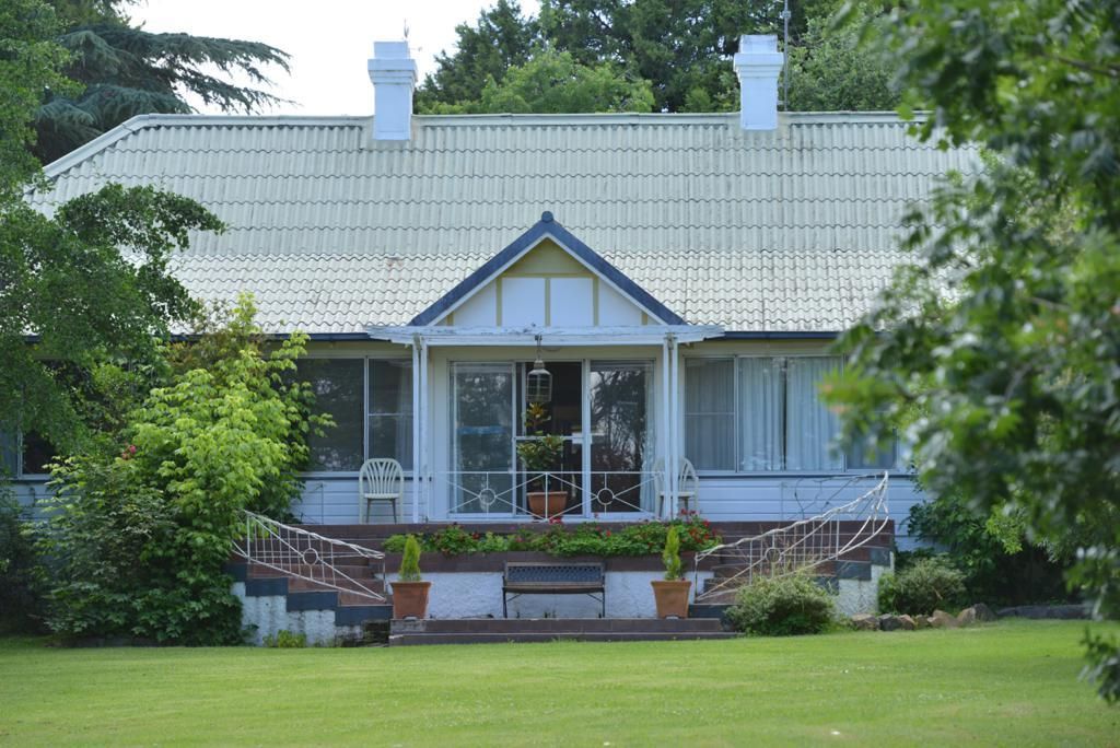 17 Naas Street