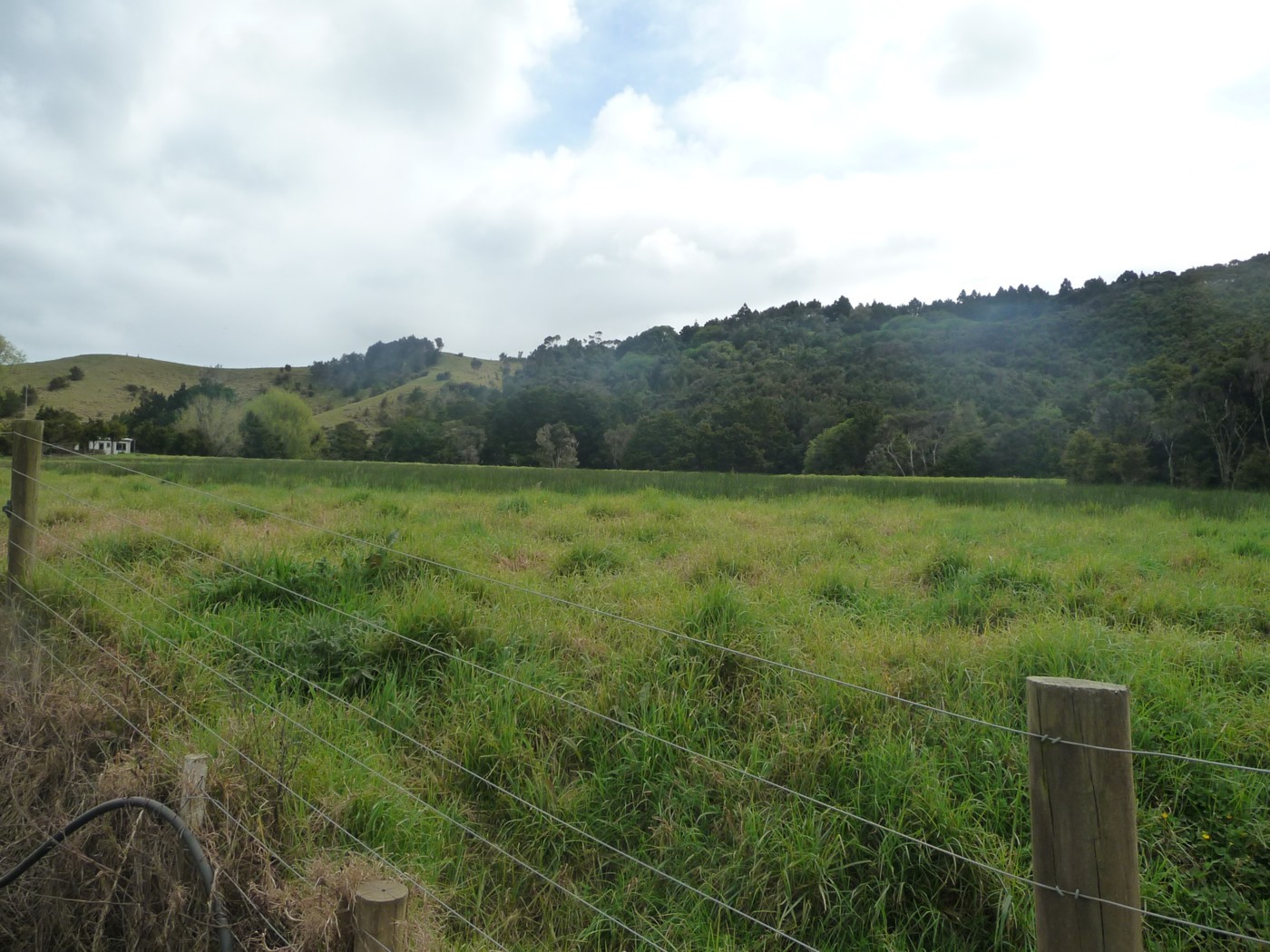 Kaingaroa, Far North District
